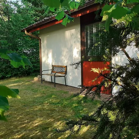 Ferienhaus Uelsen * 웰센